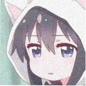 游客甲